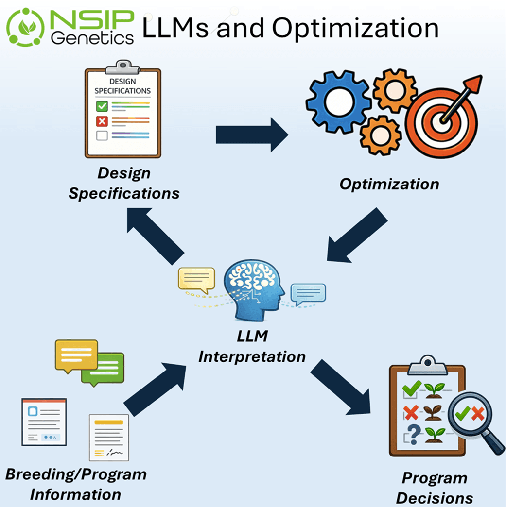 LLMs and Optimization - thumbnail