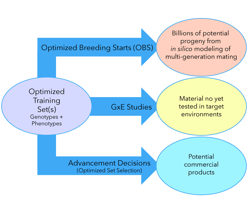 Systemic Predictive Breeding Diagram