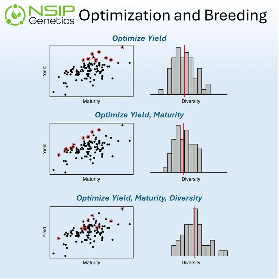 Optimization and Breeding - thumbnail