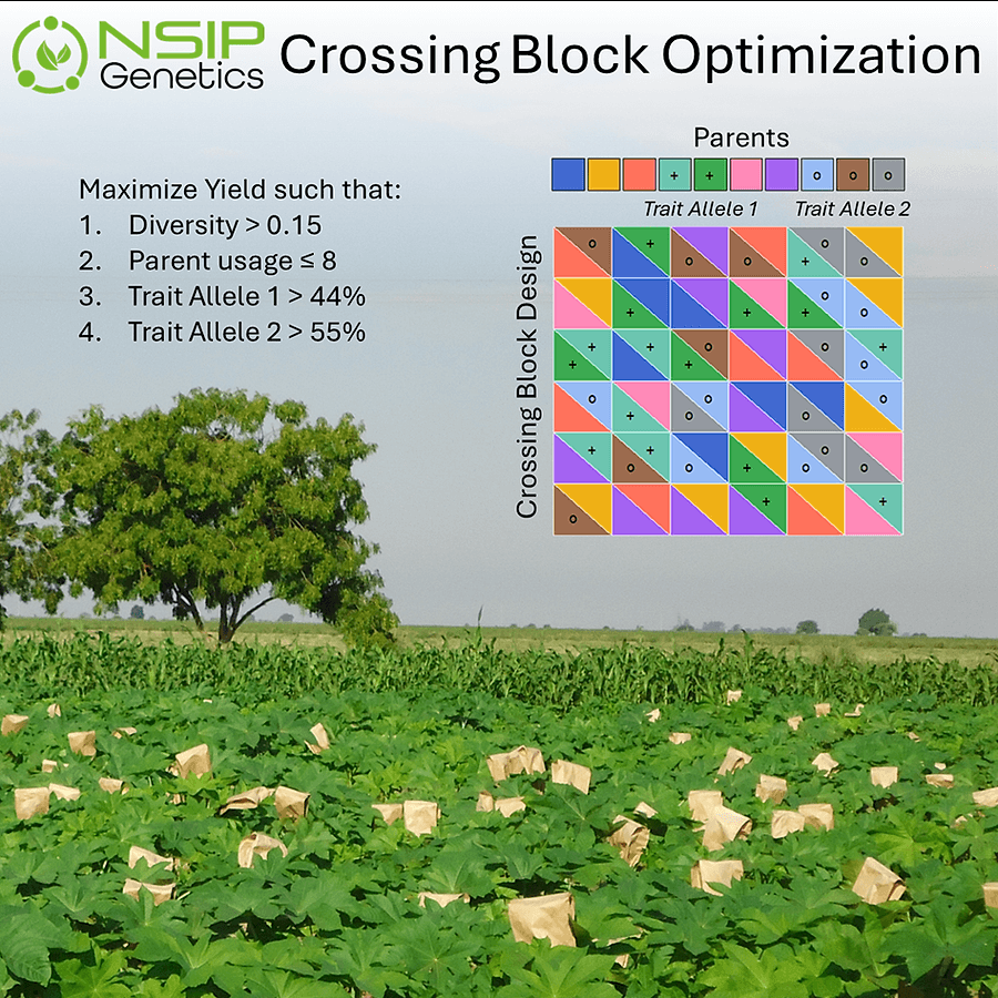 Crossing Block Optimization - thumbnail