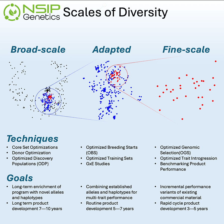 Scales of Diversity - thumbnail
