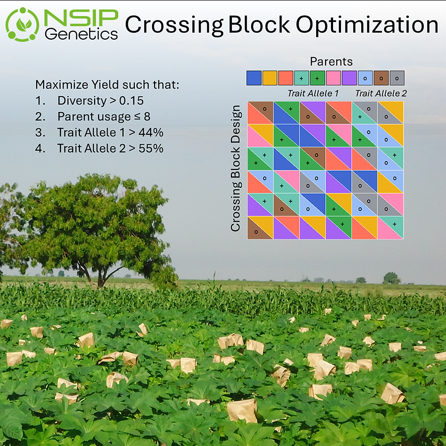 Crossing Block Optimization - thumbnail